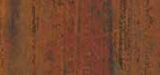 Tambora